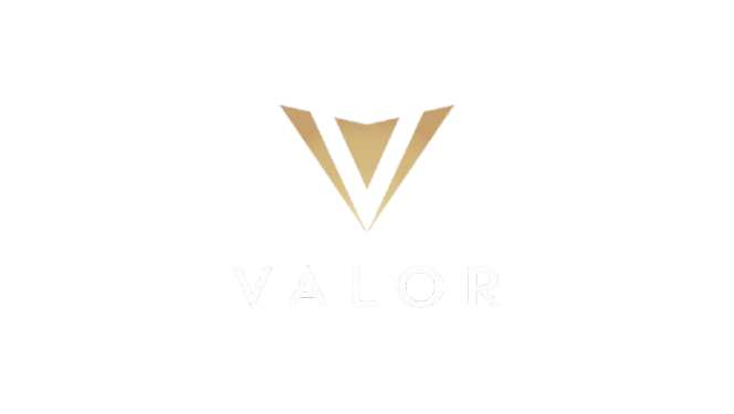 Valor-Logo-1-1024x579-removebg-preview